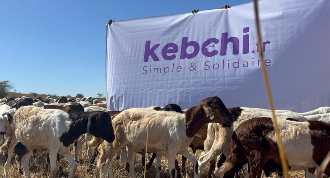 À l’occasion de l’Aïd al-Adha, facilitez votre sacrifice grâce à un service éthique et solidaire
