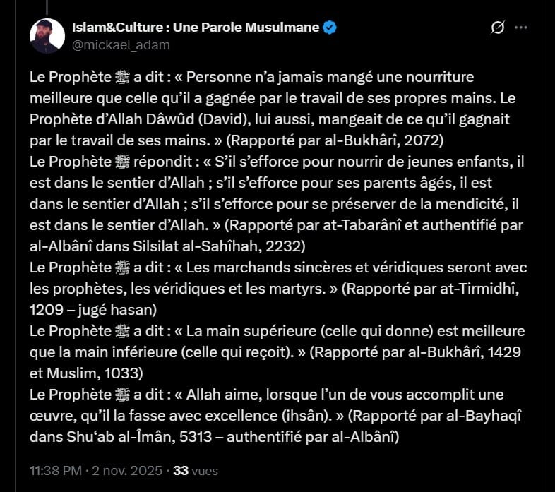 Réfutation d’Ali Babal : quand la haine remplace la pensée